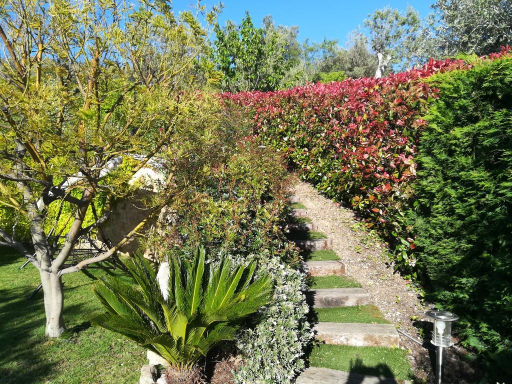 Mas De La Coste * Fayence