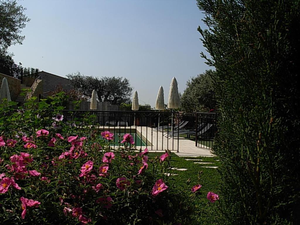 Mas De La Coste Bed & Breakfast Fayence